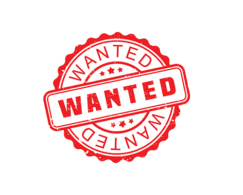 Employment Wanted