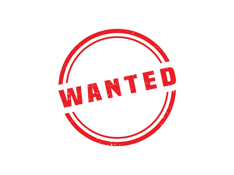 Looking for Home to Rent/Share in Killam Area